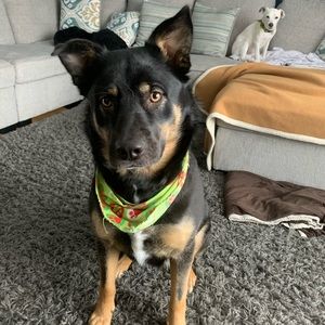 Meet your Posher, Zabrina